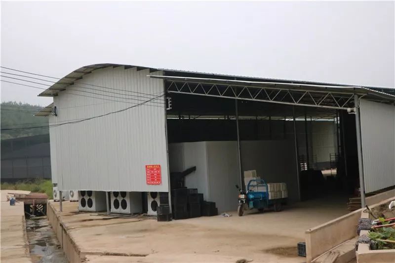 亚鱼瓮袍的“脱贫伞”