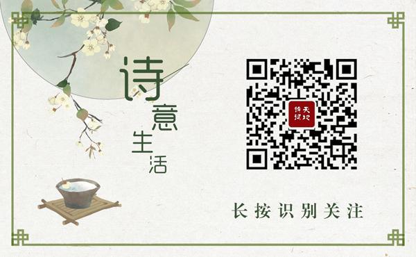 表示朋友友情的诗词,最好的朋友的诗词