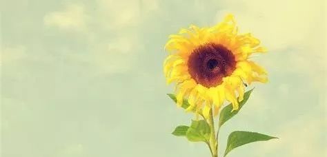 调理血压和血脂的食物,降血脂血糖的偏方