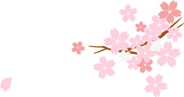 闵行区摄影推荐,上海闵行拍证件照的地方