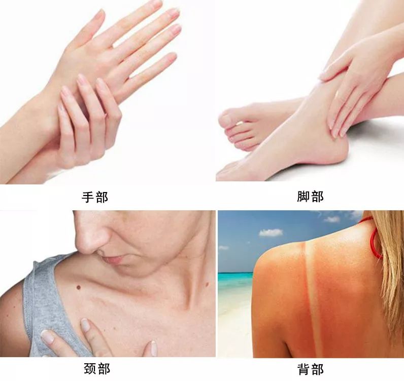 面霜家庭大容量,面霜日常护肤大容量推荐