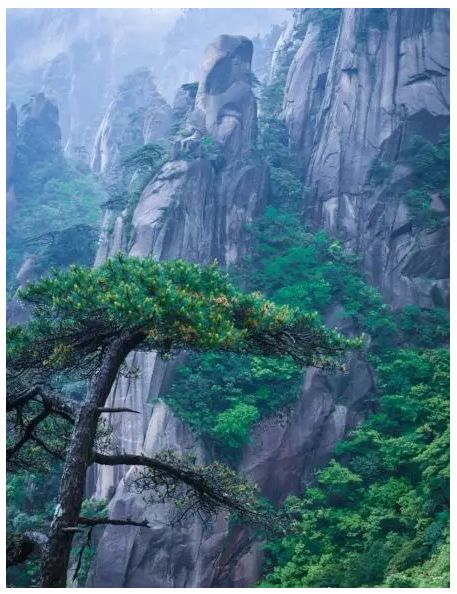 三清山游客评论,三清山评价