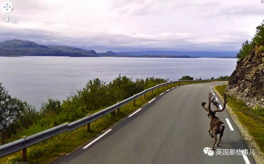 通过谷歌街景看到自己被绿的证据,谷歌街景看到自己绿的证据