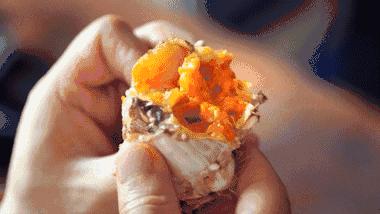 国家有什么螃蟹,国家保护的螃蟹有哪些