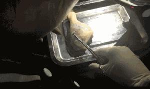 2女子在玉林做“微整形”被举报！事情背后竟藏着......