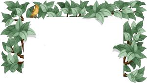 胃肠外科全国专家,全国肛肠权威专家