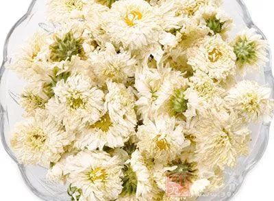 菊花为什么被称为长寿之花,适合观赏的菊花