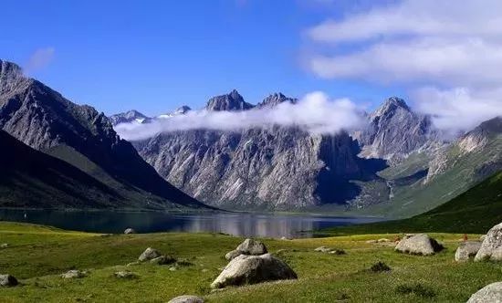 消费扶贫奶制品,消费扶贫奶粉