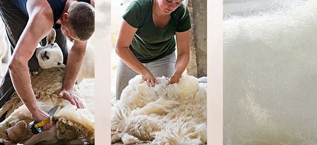 深度睡眠与羊毛被,睡眠质量提升产品