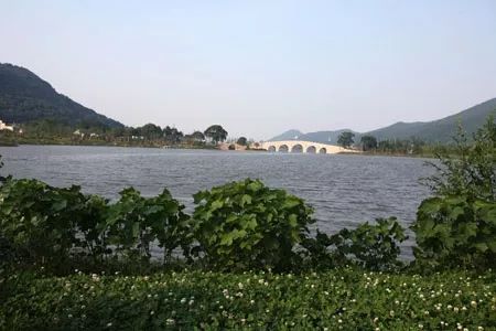 赏桂花好去处杭州,福利幸福