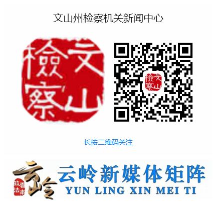 打击整治电信网络诈骗犯罪案件,打击整治电信网络诈骗犯罪