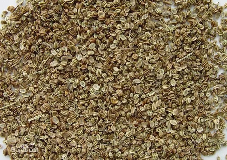 实用药品贴,天然消炎药食物有哪些