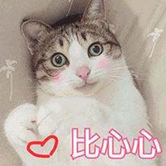 「梨法课堂」《电子商务法》解读，今天您海淘了吗？