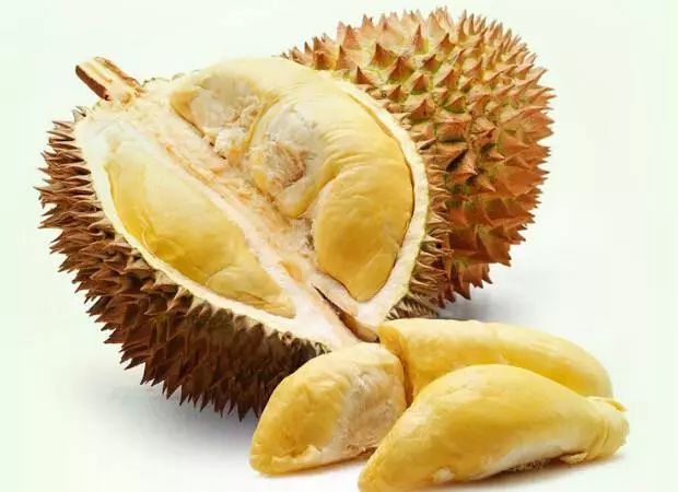 人们对榴莲的气味会有不同感受,为什么不同人闻榴莲味道不同