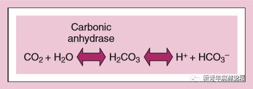 如何做好血气分析结果判读?教程来了……