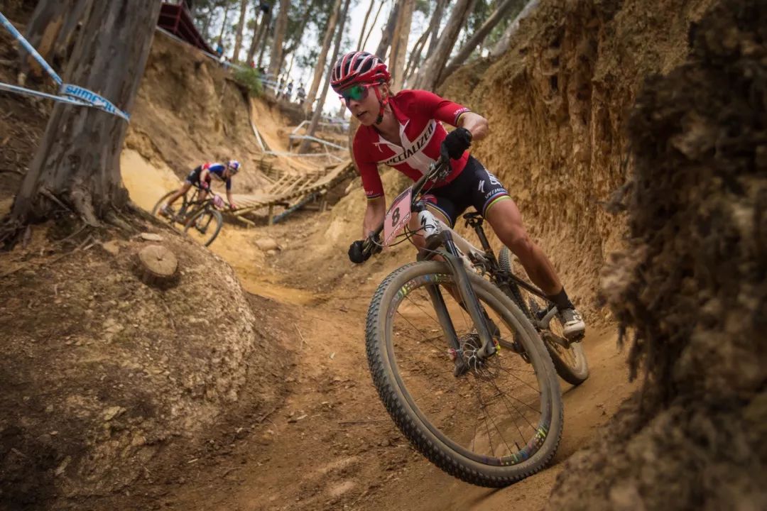 现在最划算的最新款山地车,十款性价比高的进阶级山地车