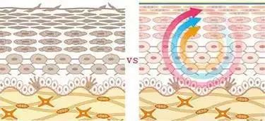 澳洲绵羊油娇嫩补水保湿霜,澳洲高颜值绵羊油