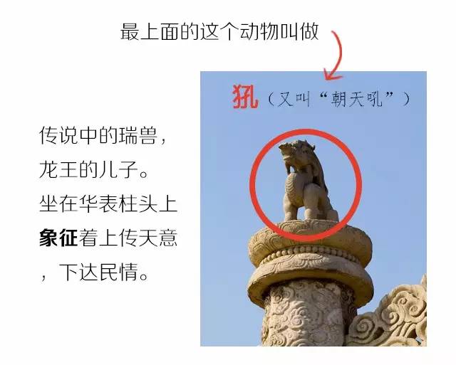 涨姿势是啥,涨姿势的词性