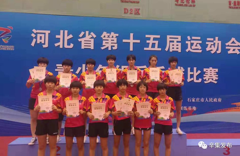 辛集学校有哪些,辛集有哪些职教类学校