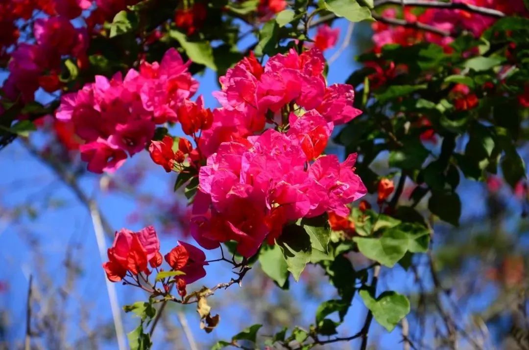 带你看美丽的厦门海边美景,厦门海洋最美丽的风景
