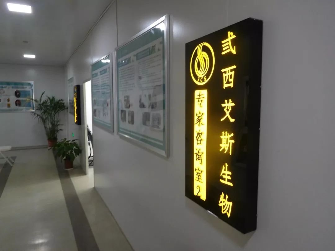 nk免疫疗法癌症,nk免疫疗法和正常细胞的区别