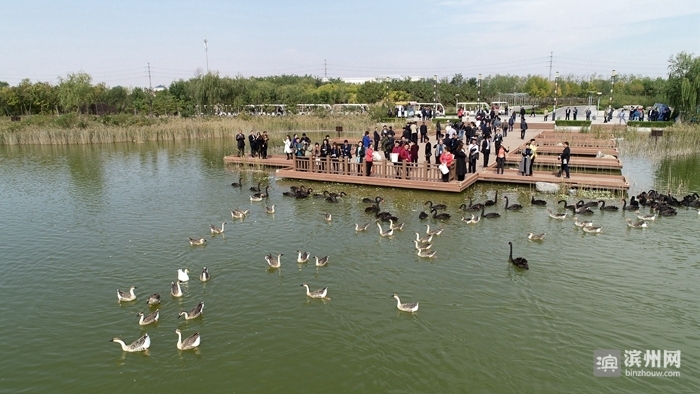 称赞滨州这座城市很美,中国最具幸福感城市2018
