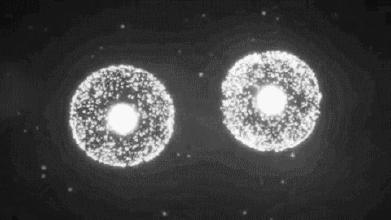 安瓶补水紧致提拉去皱精华,嫩白抗皱安瓶精华