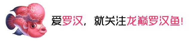 罗非得了白点病,鱼白点病的治疗方法