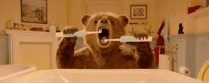 蛀牙真的是虫蛀的嘛,蛀牙是真的有虫吗视频