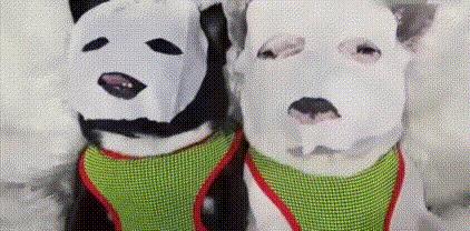 科普如何警惕面膜消费陷阱,牛奶珍珠粉海藻面膜的功效与作用