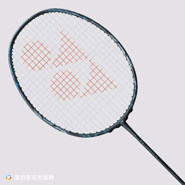 尤尼克斯和李宁羽毛球拍哪个好,尤尼克斯十大最佳入门羽毛球拍