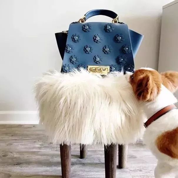 背上插满了flag表情包,背上挎的包包