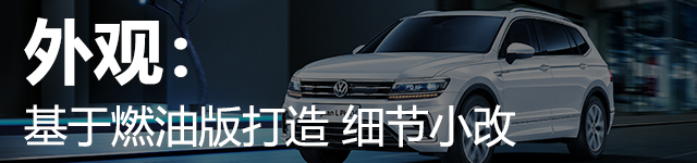 混动途观lphev价格,插混途观l2024款