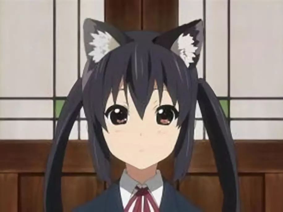 日本人和猫的关系,为什么日本人这么喜欢女生