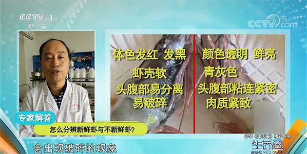 冻虾呈蓝色绿色能吃吗,冻虾变蓝绿色还能吃吗