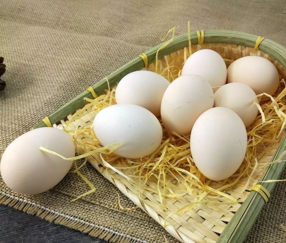 人体缺乏酵素谣言,长期吃酵素对癌症有效吗