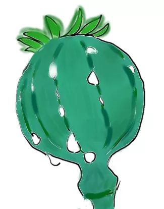 妇科疾病治疗骗局大揭秘,妇科疾病治疗骗局揭秘