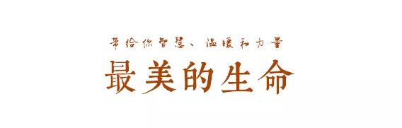 盲目跟风造成严重后果的案例,警惕盲目跟风