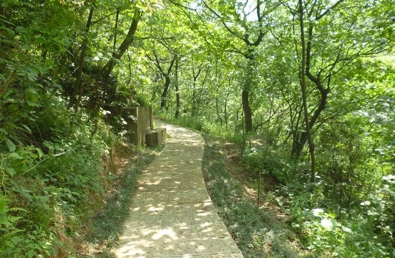 爱爬山的人都爬什么山,爱爬山的山里人完整版