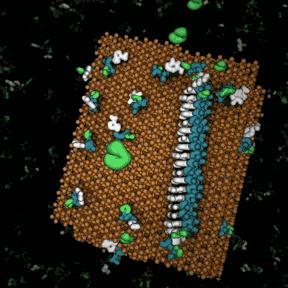 带你声临其境探索宇宙,带你探索维度空间