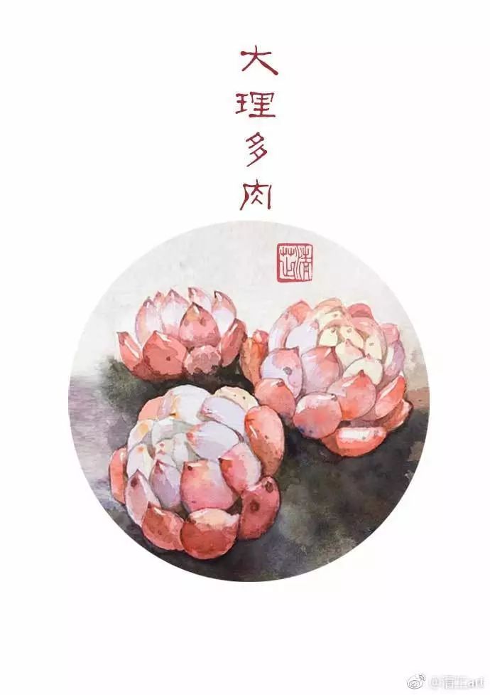 多肉上色太漂亮了,多肉上色前后对比