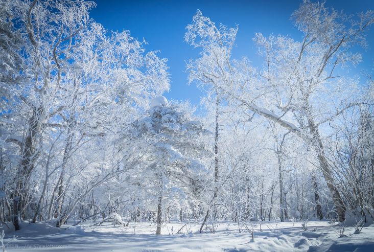 刘烨一家三口野外生活,刘烨旅游
