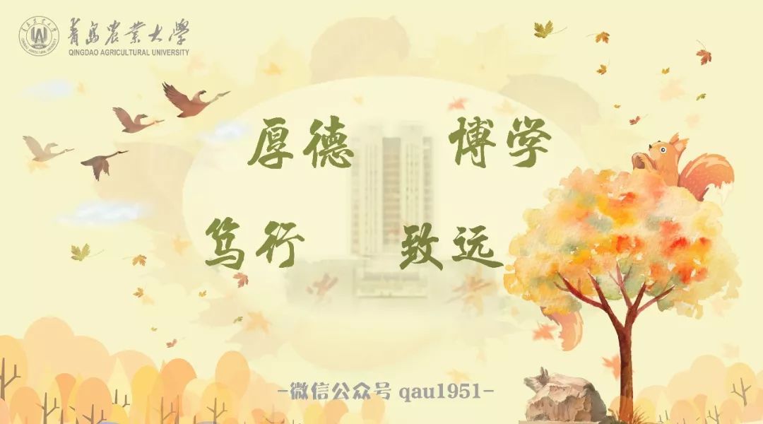 青岛市中学生田径运动会100米冠军,青岛农业大学运动会标枪