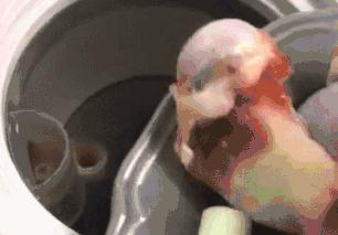 给跪了！在办公室用公司饮水机煮火锅，奇葩网红还用各种工具烹饪食物……这种脑洞大开要不得！