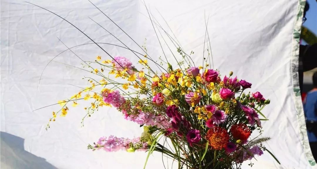 体育中心看展菊,在体育中心玩乐的一天