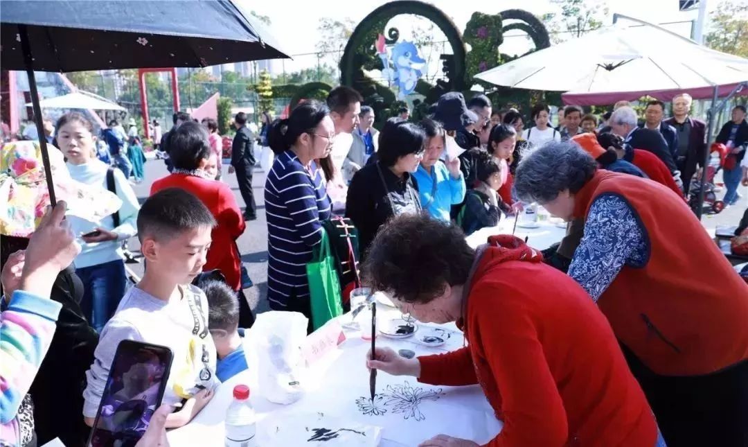 体育中心看展菊,在体育中心玩乐的一天