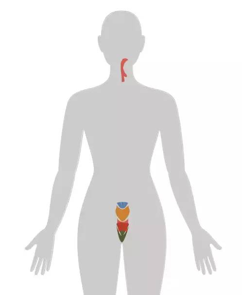 20个癌症的真实案例,13种癌症最新研究报告