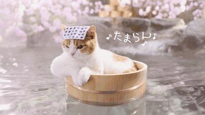 趣闻｜2018年神翻译大盘点，让我们一起笑到2019！汪涵都惊呆了～