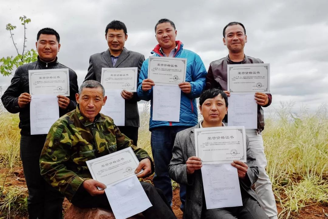 一条精选｜深山里的天然蜂巢蜜，可以解油腻的纯植物茶