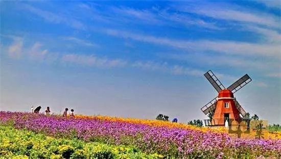 婺源花田溪民宿,花田溪民宿模式